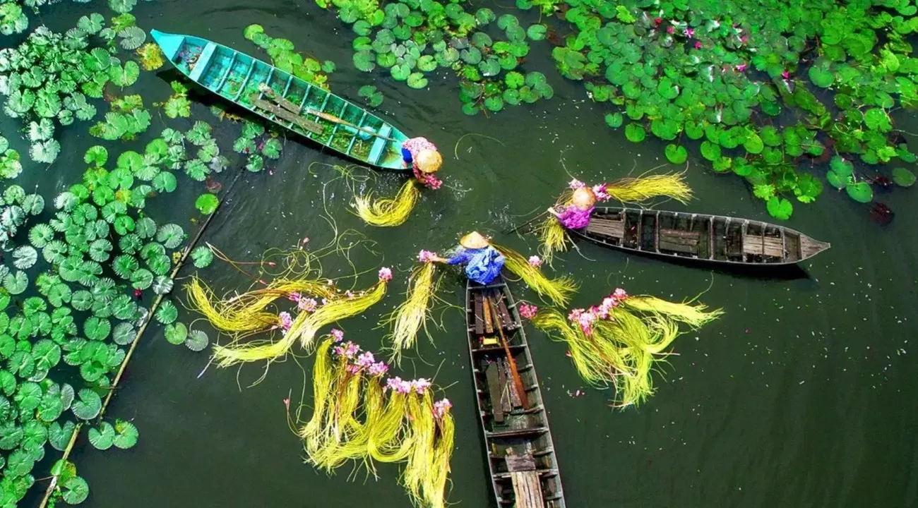 Las 7 Ciudades Más Bellas de Vietnam: Una Guía por su Patrimonio, Playas y Naturaleza
