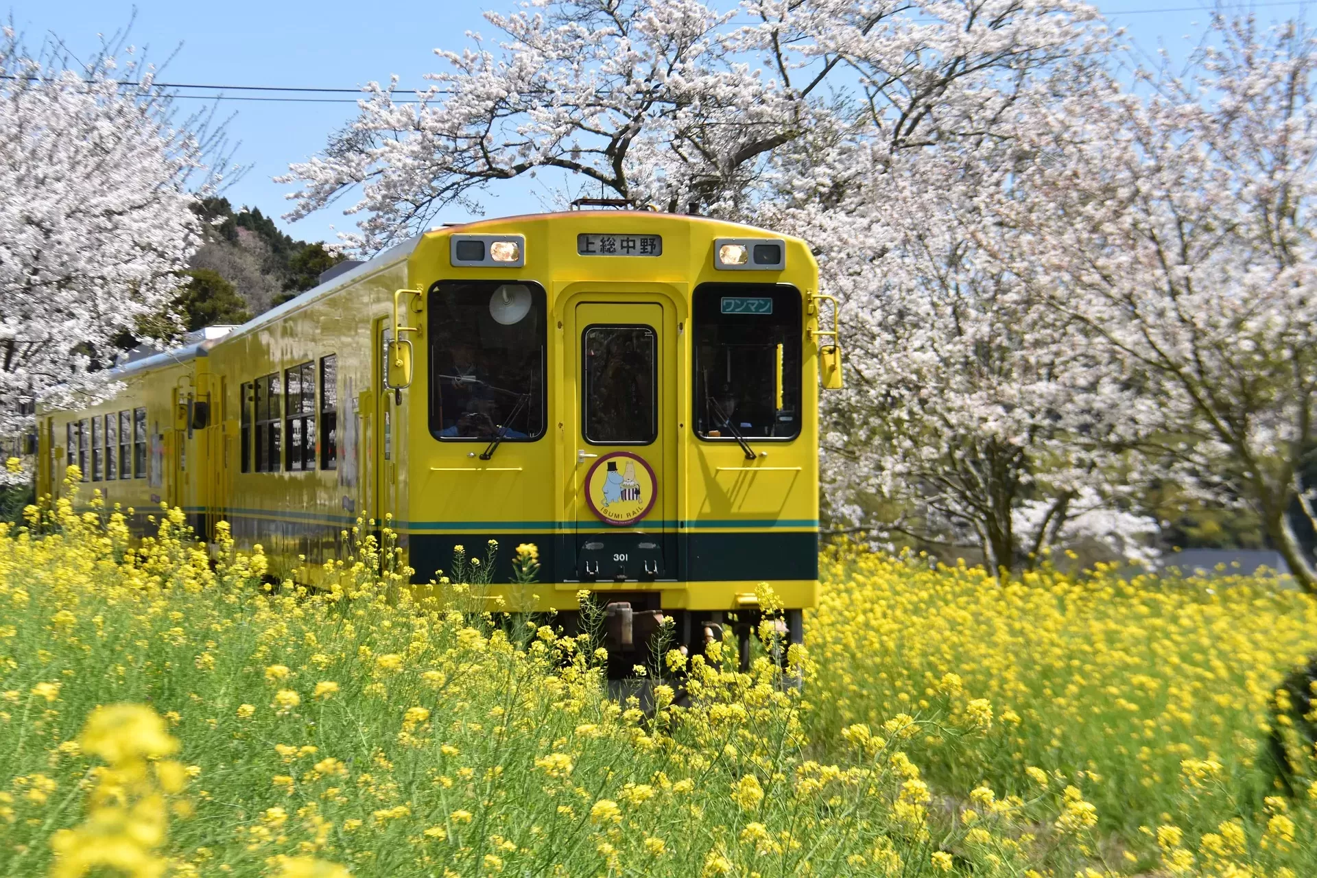 Guía esencial para tu primer viaje a Japón: Clima, Cómo ahorrar costos, Visado y Seguridad.