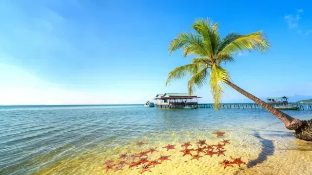Starfish Beach: Atrévete a descubrir esta joya Vietnamita